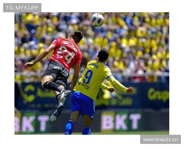 马洛卡攻防平衡